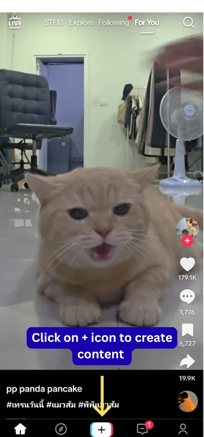 Step-by-step TikTok live streaming setup – tap the plus (+) icon to start creating content or go live on TikTok, shown with cat video background
